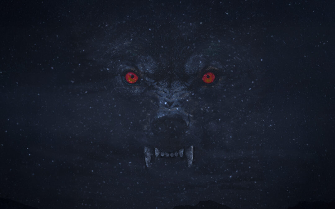 Le loup du Hédas, Halloween 2025